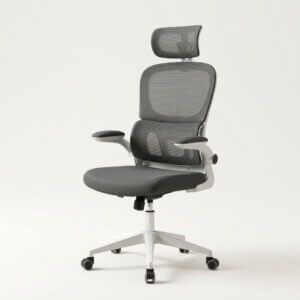 Grey Ergonomic Chair